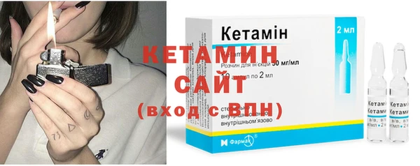 сатива Заводоуковск