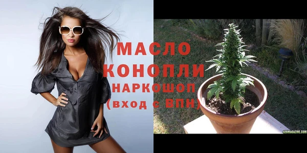 сатива Заводоуковск