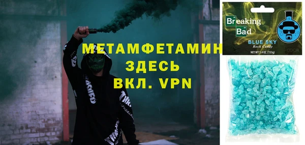сатива Заводоуковск