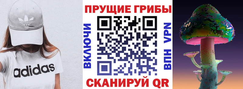 Галлюциногенные грибы GOLDEN TEACHER  Калач-на-Дону 