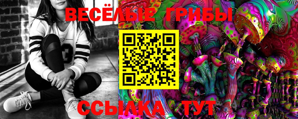 Галлюциногенные грибы мицелий Калач-на-Дону