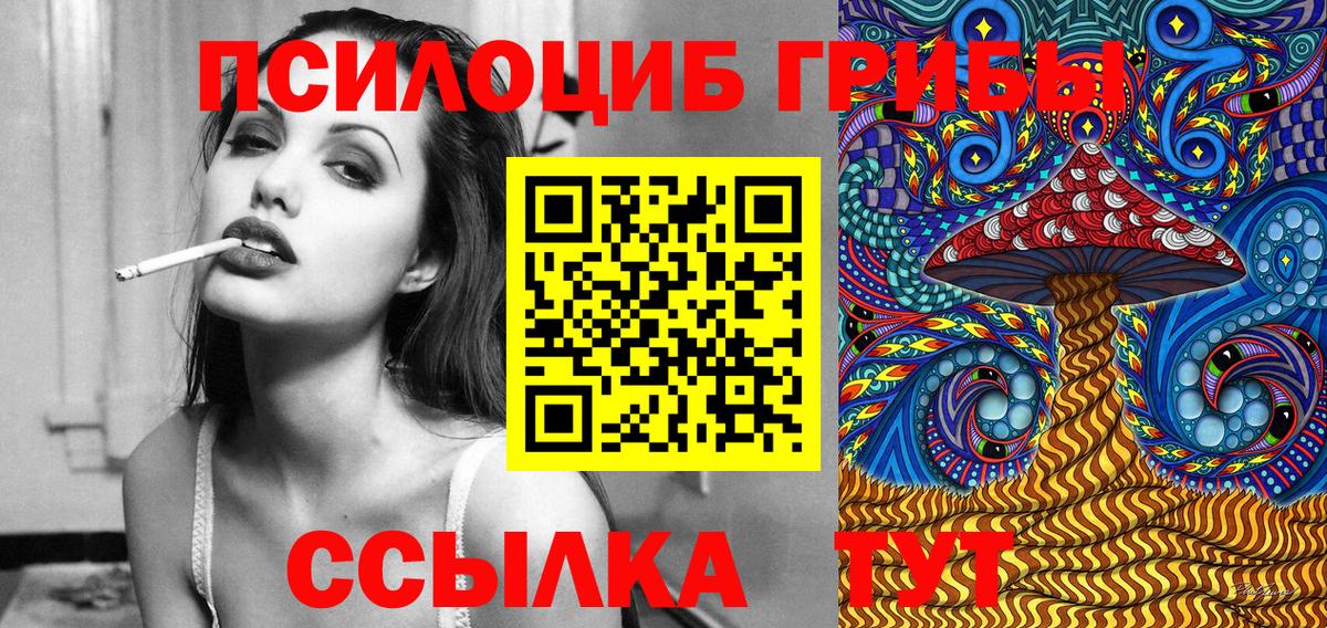 Галлюциногенные грибы MAGIC MUSHROOMS  Псилоцибиновые грибы Psilocybine cubensis  Калач-на-Дону  Вход с VPN 